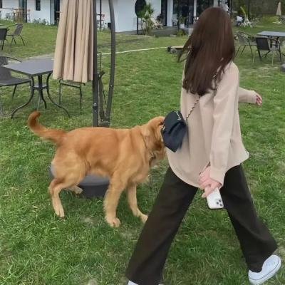 错视画的利牙