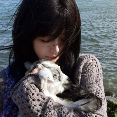 汤姆猫与杰利鼠:间谍使命